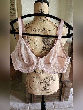 HSIA Light Pink Lace Underwire Bra- NWT